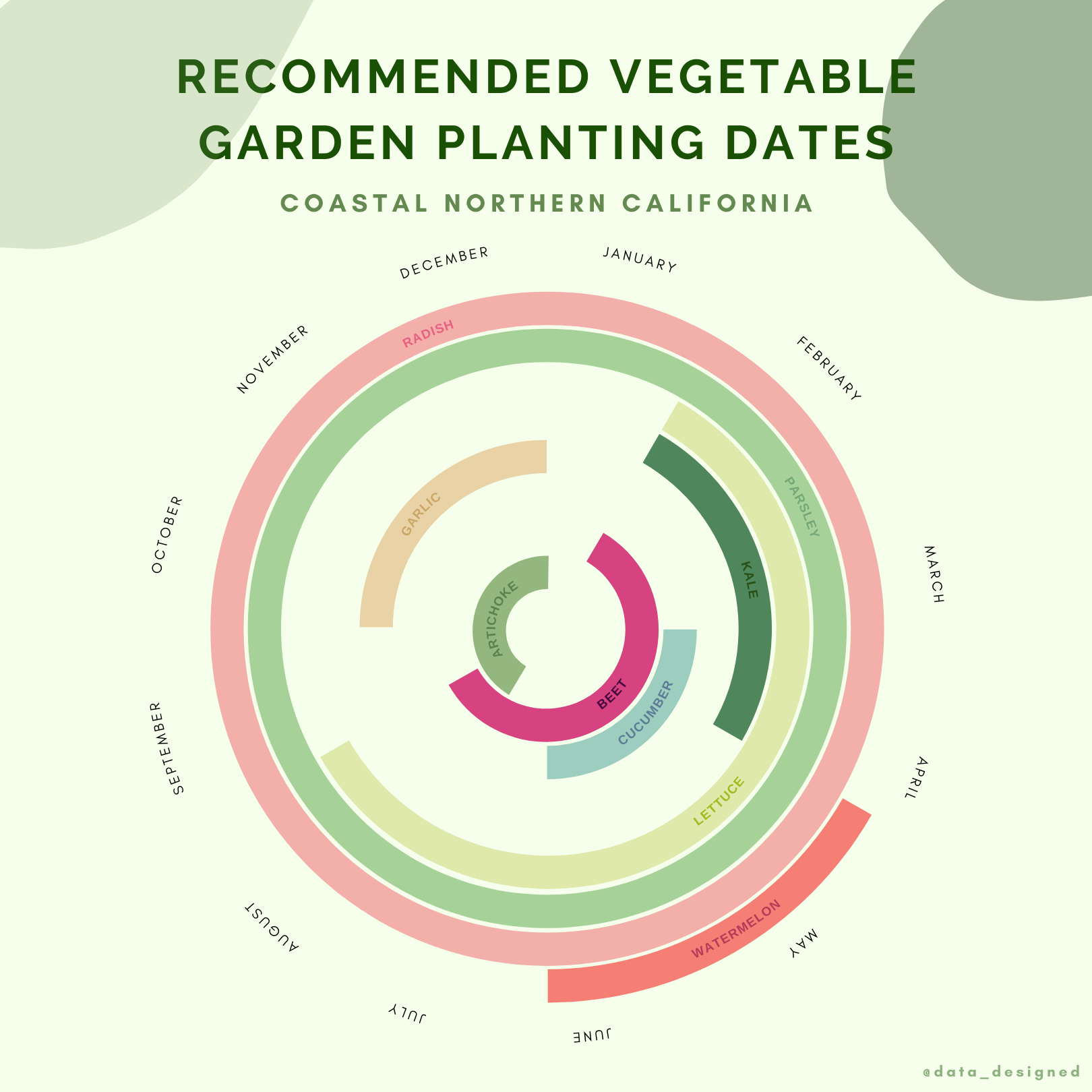 Veggie Visualization